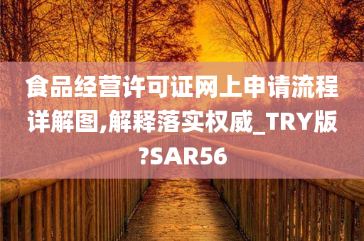 食品经营许可证网上申请流程详解图,解释落实权威_TRY版?SAR56