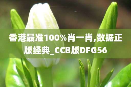 香港最准100%肖一肖,数据正版经典_CCB版DFG56