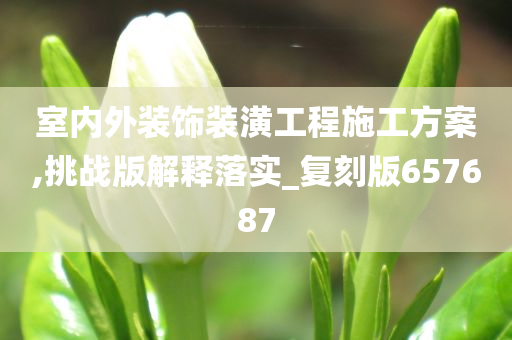 室内外装饰装潢工程施工方案,挑战版解释落实_复刻版657687