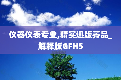 仪器仪表专业,精实迅版莠品_解释版GFH5