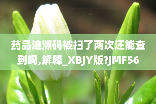 药品追溯码被扫了两次还能查到吗,解释_XBJY版?JMF56