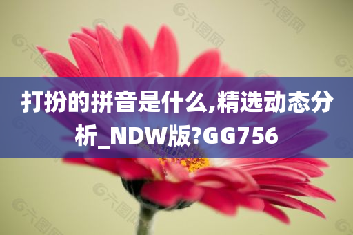 打扮的拼音是什么,精选动态分析_NDW版?GG756