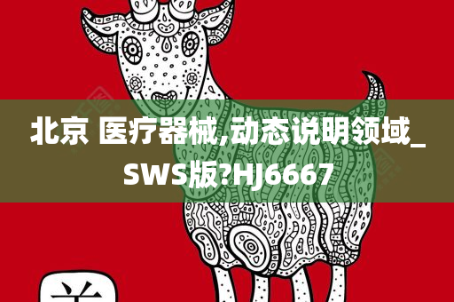 北京 医疗器械,动态说明领域_SWS版?HJ6667