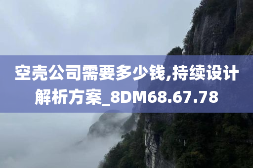 空壳公司需要多少钱,持续设计解析方案_8DM68.67.78