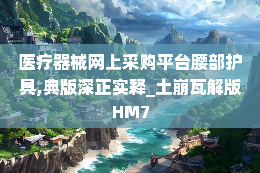 医疗器械网上采购平台腰部护具,典版深正实释_土崩瓦解版HM7