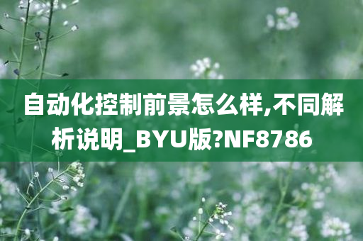 自动化控制前景怎么样,不同解析说明_BYU版?NF8786