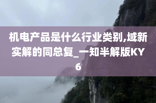 机电产品是什么行业类别,域新实解的同总复_一知半解版KY6