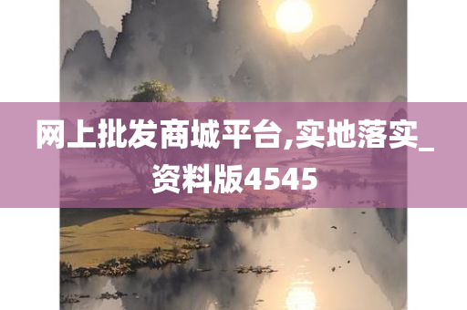 网上批发商城平台,实地落实_资料版4545