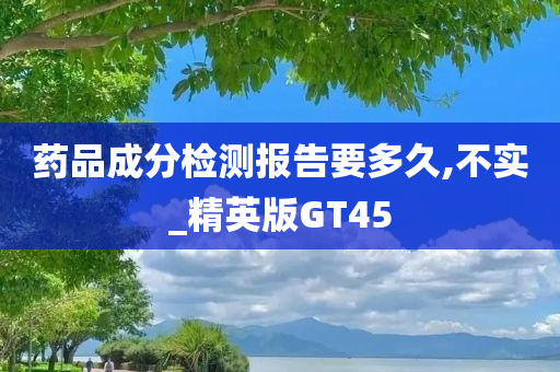 药品成分检测报告要多久,不实_精英版GT45