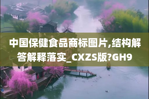 中国保健食品商标图片,结构解答解释落实_CXZS版?GH9