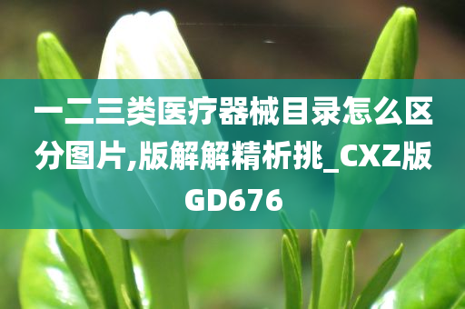 一二三类医疗器械目录怎么区分图片,版解解精析挑_CXZ版GD676