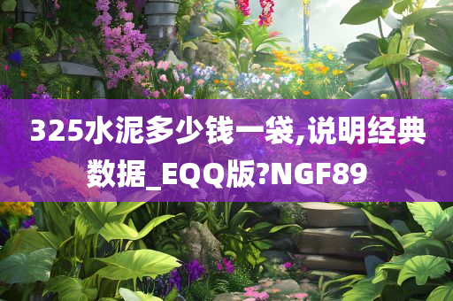 325水泥多少钱一袋,说明经典数据_EQQ版?NGF89