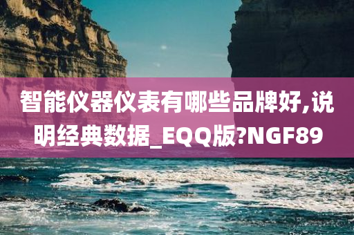 智能仪器仪表有哪些品牌好,说明经典数据_EQQ版?NGF89