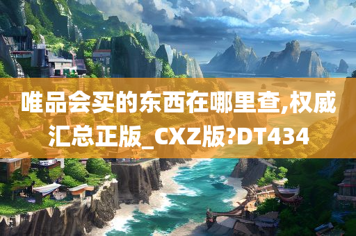 唯品会买的东西在哪里查,权威汇总正版_CXZ版?DT434