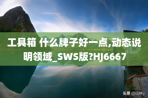 工具箱 什么牌子好一点,动态说明领域_SWS版?HJ6667