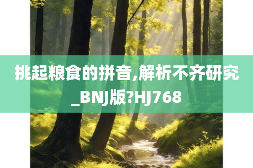 挑起粮食的拼音,解析不齐研究_BNJ版?HJ768