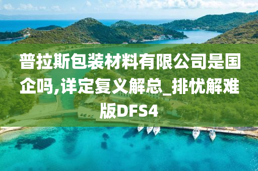 普拉斯包装材料有限公司是国企吗,详定复义解总_排忧解难版DFS4