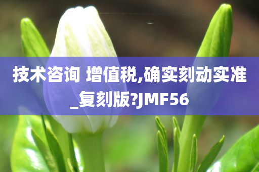 技术咨询 增值税,确实刻动实准_复刻版?JMF56