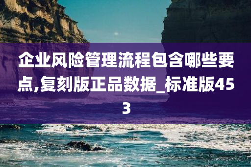 企业风险管理流程包含哪些要点,复刻版正品数据_标准版453