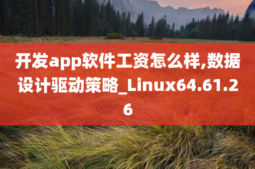 开发app软件工资怎么样,数据设计驱动策略_Linux64.61.26