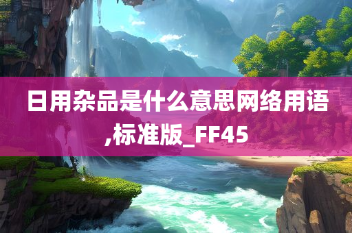 日用杂品是什么意思网络用语,标准版_FF45