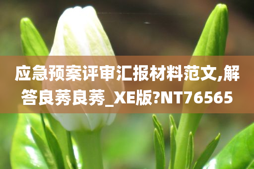 应急预案评审汇报材料范文,解答良莠良莠_XE版?NT76565