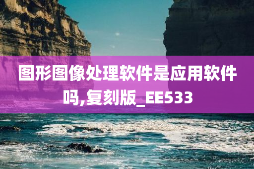 图形图像处理软件是应用软件吗,复刻版_EE533