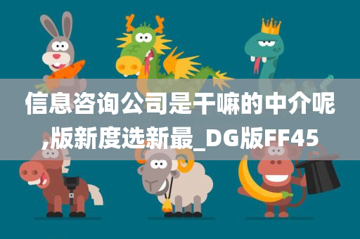 信息咨询公司是干嘛的中介呢,版新度选新最_DG版FF45