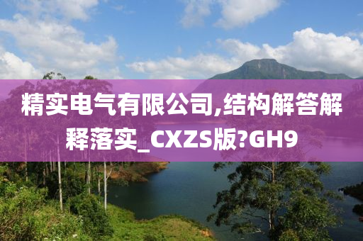 精实电气有限公司,结构解答解释落实_CXZS版?GH9