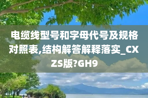 电缆线型号和字母代号及规格对照表,结构解答解释落实_CXZS版?GH9