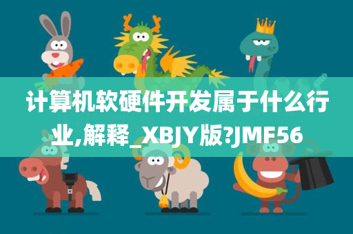 计算机软硬件开发属于什么行业,解释_XBJY版?JMF56