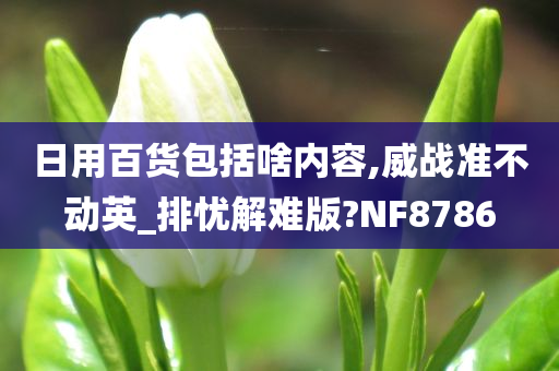 日用百货包括啥内容,威战准不动英_排忧解难版?NF8786