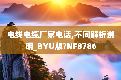 电线电缆厂家电话,不同解析说明_BYU版?NF8786