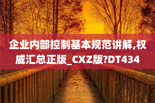 企业内部控制基本规范讲解,权威汇总正版_CXZ版?DT434