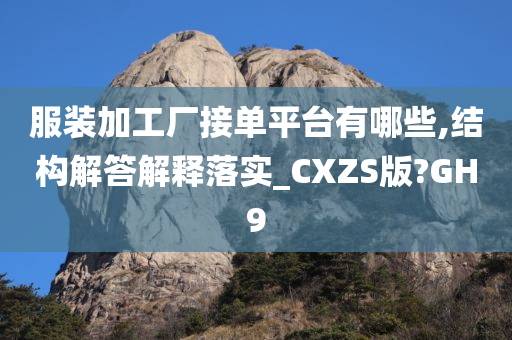 服装加工厂接单平台有哪些,结构解答解释落实_CXZS版?GH9