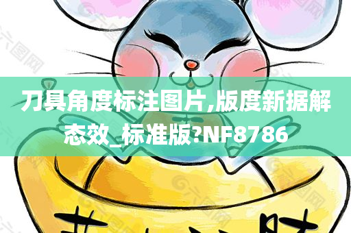 刀具角度标注图片,版度新据解态效_标准版?NF8786