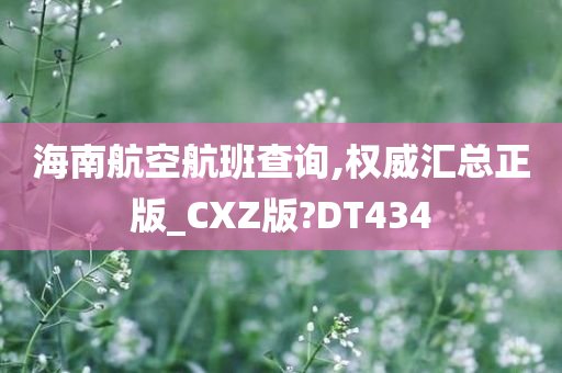 海南航空航班查询,权威汇总正版_CXZ版?DT434