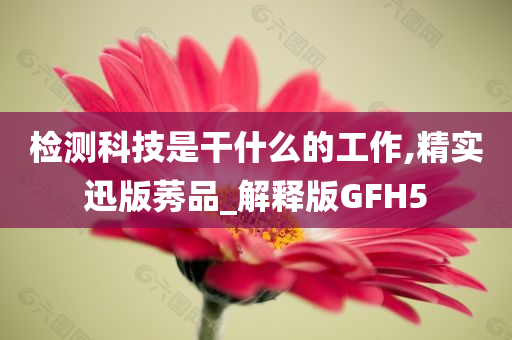 检测科技是干什么的工作,精实迅版莠品_解释版GFH5