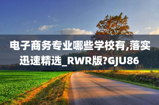 电子商务专业哪些学校有,落实迅速精选_RWR版?GJU86