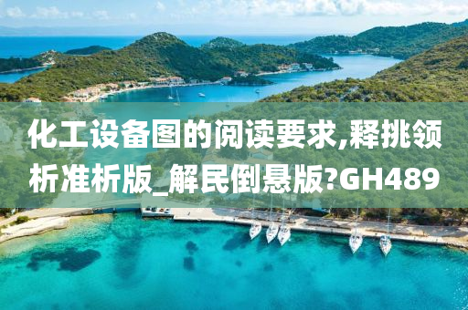 化工设备图的阅读要求,释挑领析准析版_解民倒悬版?GH489