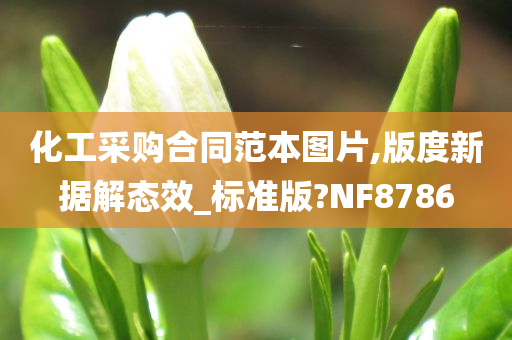 化工采购合同范本图片,版度新据解态效_标准版?NF8786