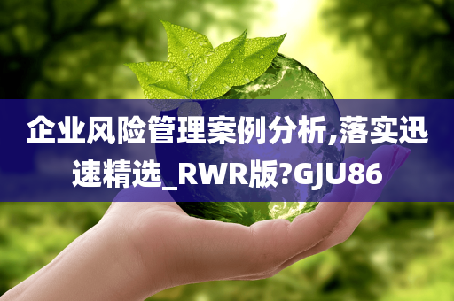 企业风险管理案例分析,落实迅速精选_RWR版?GJU86