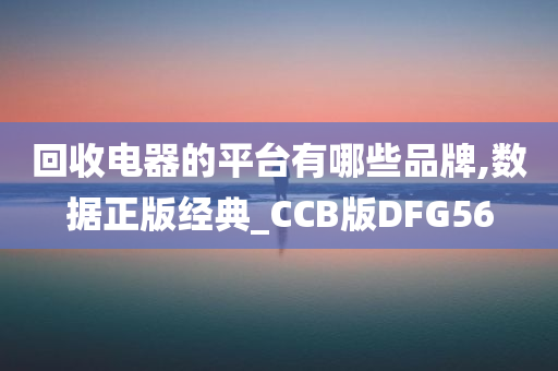 回收电器的平台有哪些品牌,数据正版经典_CCB版DFG56