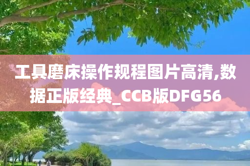 工具磨床操作规程图片高清,数据正版经典_CCB版DFG56