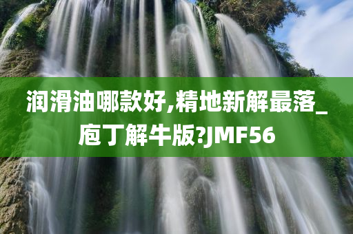 润滑油哪款好,精地新解最落_庖丁解牛版?JMF56