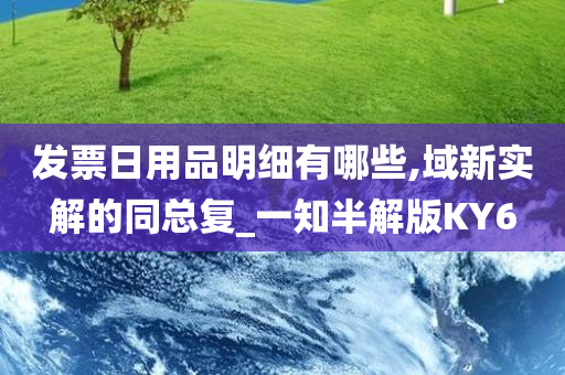 发票日用品明细有哪些,域新实解的同总复_一知半解版KY6