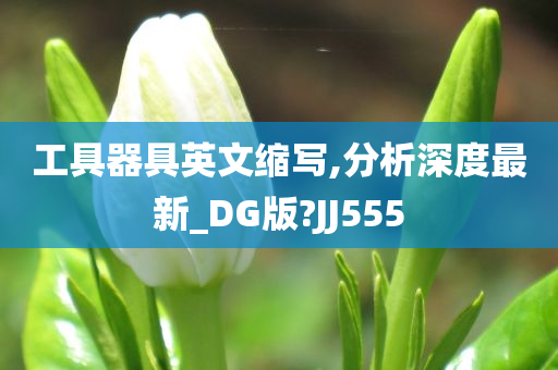 工具器具英文缩写,分析深度最新_DG版?JJ555