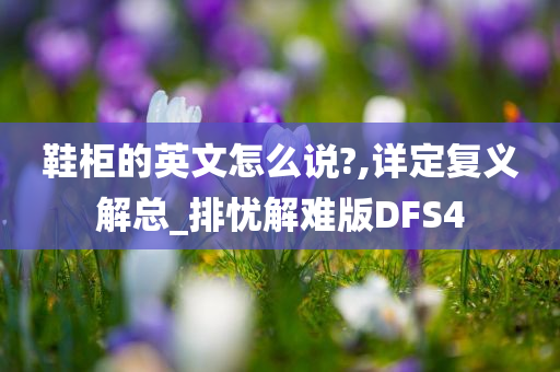 鞋柜的英文怎么说?,详定复义解总_排忧解难版DFS4