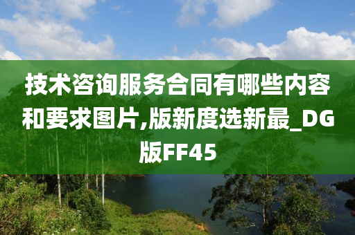 技术咨询服务合同有哪些内容和要求图片,版新度选新最_DG版FF45