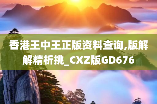 香港王中王正版资料查询,版解解精析挑_CXZ版GD676